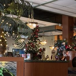 Lucy's Diner - Nice