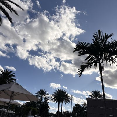 The Ritz-Carlton Orlando, Grande Lakes by null