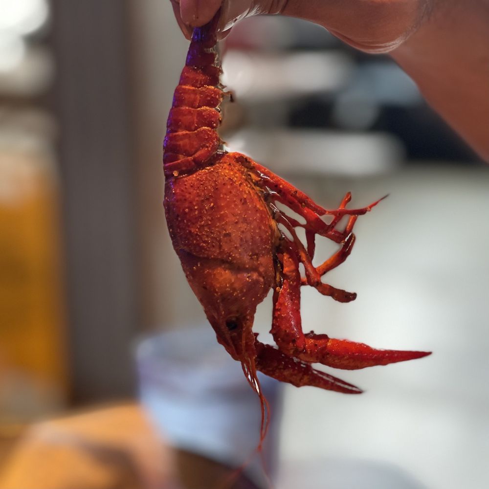 JOE’S CRAB SHACK 213 Photos & 387 Reviews 3502 Seawall Blvd