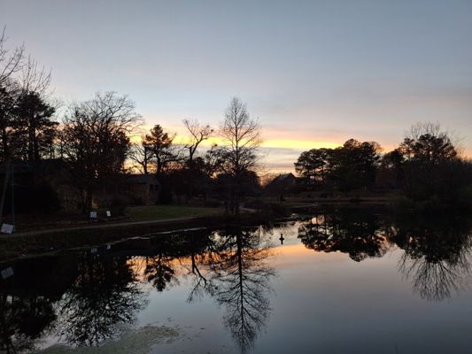 Avondale Park by null