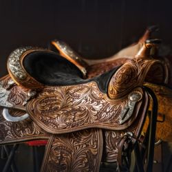 Willow Plunge Arts - Kisa Kavass Designs - Horse photography, saddle