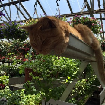 Kane's Flower World - Nurseries & Gardening Near Me - Danvers, Massachusetts