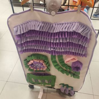 Unleashed at Crabtree - Pet Stores Near Me - Raleigh, North Carolina