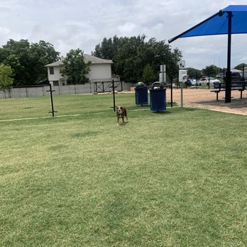Willow Bend Dog Park - It's a dogs life. - Dog Parks Near Me - Austin, Texas