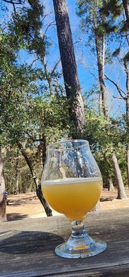 B-52 Brewing Co. by null