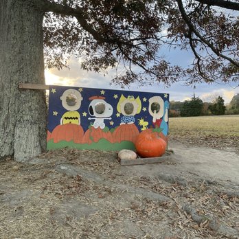 Hawk's Pumpkin Patch - Pumpkin Patches Near Me - Winston-Salem, North Carolina