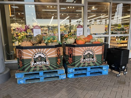 Whole Foods Market by null