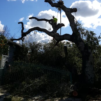 Aper's Tree Service - Tree Services Near Me - Sunland, California