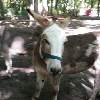Green Meadows Farm - Petting Zoos Near Me - Hazlet, New Jersey