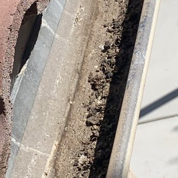 Lukas Pigeon Removal & Gutter Cleaning - Pigeon waste left behind by Rodrigo! - Gutter Services Near Me Lukas Pigeon Removal & Gutter Cleaning - Pigeon waste left behind by Rodrigo! - Gutter Services Near Me