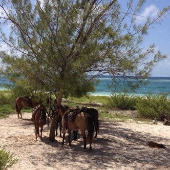 Rancho Baaxal - Horseback Riding Near Me - Playa del Carmen, ROO Rancho Baaxal - Horseback Riding Near Me - Playa del Carmen, ROO