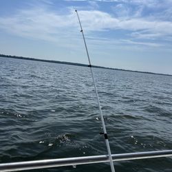 Miss Violet Head Boat & Charter Fishing - .