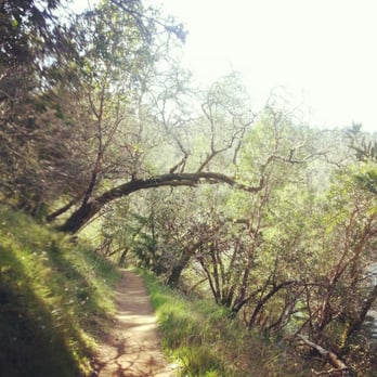 Phoenix Lake - The trail along the loop - Hiking Near Me - Ross, California
