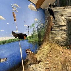 Door County Historical Museum - Outdoor nature scenery