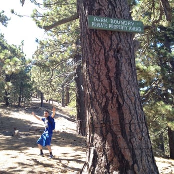 Tehachapi Mountain Park - On the way to the top, sign  says private property. It doesn't say keep out. So keep going till the top. Just don't litter - Hiking Near Me - Tehachapi, California