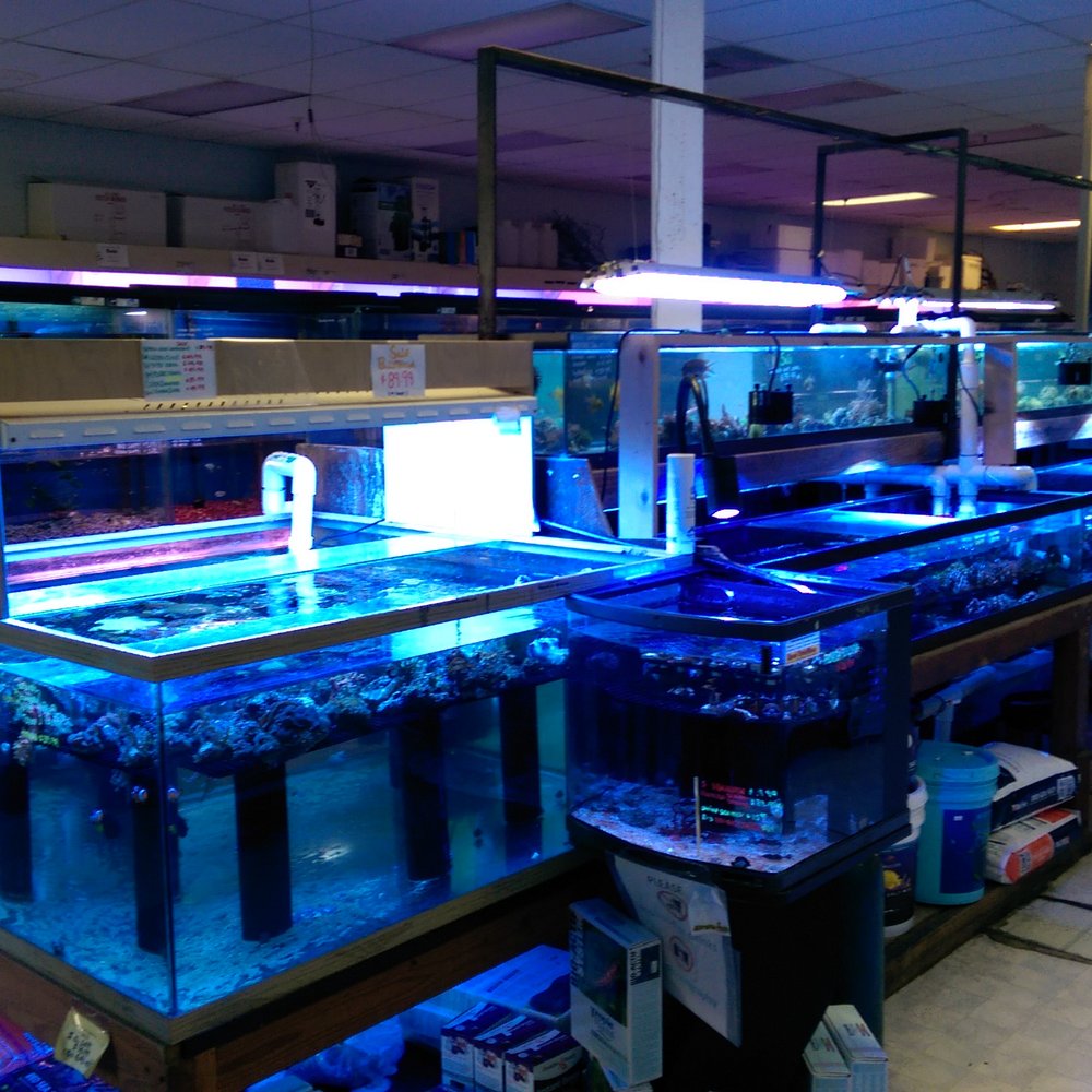 Pasadena Tropical Fish - This guy has a lot of reef prosucts for saleand on display - Local Fish Stores Near Me - Pasadena, California Pasadena Tropical Fish - This guy has a lot of reef prosucts for saleand on display - Local Fish Stores Near Me - Pasadena, California