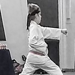 Sunrise Taekwondo - Intelligence
