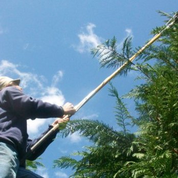 Forest Keepers - Tree Services Near Me - Hyannis, Massachusetts Forest Keepers - Tree Services Near Me - Hyannis, Massachusetts