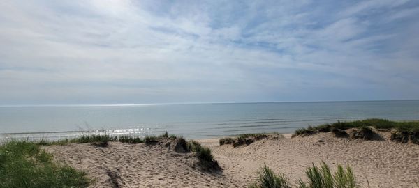 Kohler-Andrae State Park by null