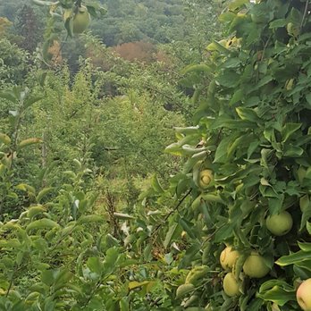 Tree Licious Orchards - Fruits & Veggies Near Me - Port Murray, New Jersey