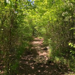 Edwards Point