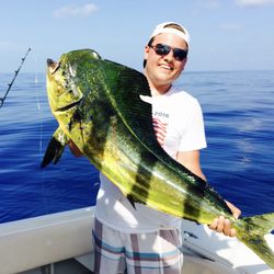 Meridian Charters - Mahi Mahi