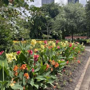 City Botanic Gardens - Botanical Gardens Near Me - Brisbane, QLD