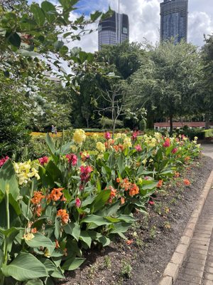 City Botanic Gardens by null