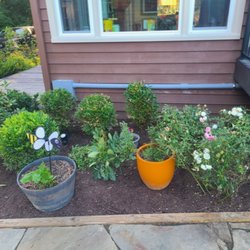 Apple Tree Lawn Care & Landscaping