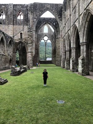 Tintern Abbey by null
