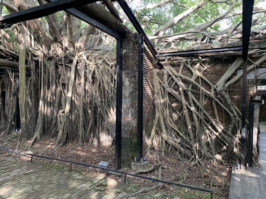 Former Tait & Co. Merchant House by null