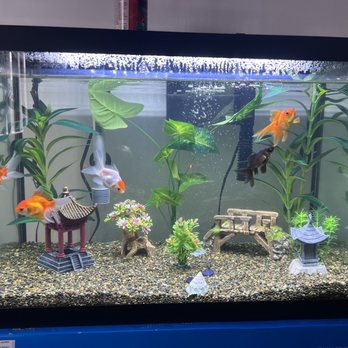PetSmart - Pet Stores Near Me - Tujunga, California PetSmart - Pet Stores Near Me - Tujunga, California