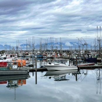 Experience Olympic - Hiking Near Me - Port Angeles, Washington