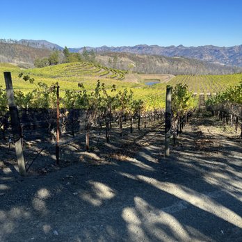 A-Luxury Transportation and Tours - Napa winery - Wine Tours Near Me A-Luxury Transportation and Tours - Napa winery - Wine Tours Near Me