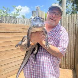 5 year old alligator 5 year old alligator
