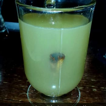 Nitehawk Cinema - Whisky + hot apple cider and cinnamon stick. - Cinema Near Me - Brooklyn, New York Nitehawk Cinema - Whisky + hot apple cider and cinnamon stick. - Cinema Near Me - Brooklyn, New York