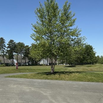 Kevin's Restaurant - The view outside from the back patio seating. - American Near Me - Plymouth, Massachusetts