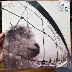 Groove Damage Records