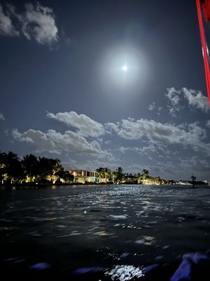 Riverfront Gondola Tours by null