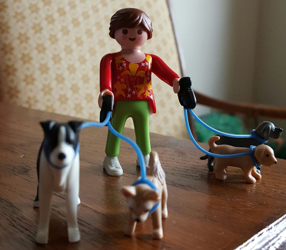 Polacek's Petsitting - pet boarding facility in Madison, WI