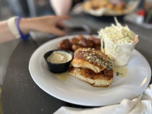 Dixie Fish Company by null