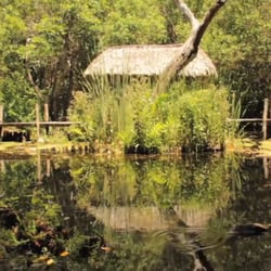 Río Lagartos