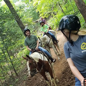 Appalachian Trail Rides - Horseback Riding Near Me - Mineral Bluff, Georgia