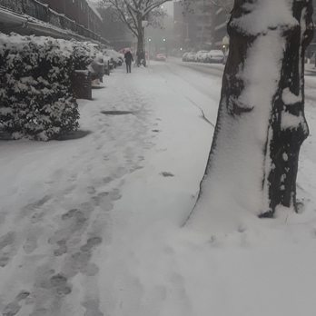 LeFrak City - LeFrakCity Nov 2018 - Apartments Near Me - Elmhurst, New York
