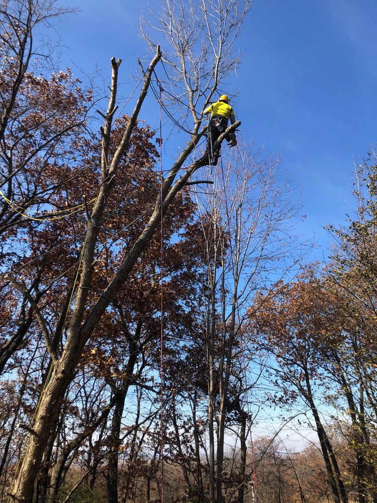 GREAT CLIPS Updated August 2024 18 Reviews 1542 E Algonquin Rd