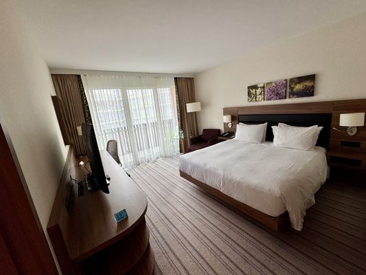 Hilton Garden Inn Davos by null