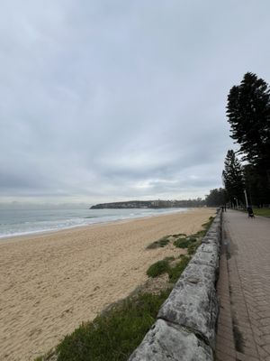 Manly Beach by null