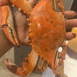 Crab Capital