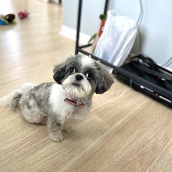 Head to Tail - Pet Stores Near Me - Cliffside Park, New Jersey
