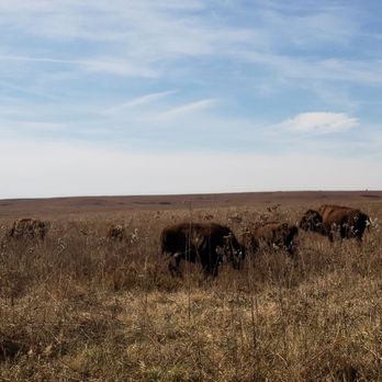 Tallgrass Prairie Preserve - Parks Near Me - Pawhuska, Oklahoma